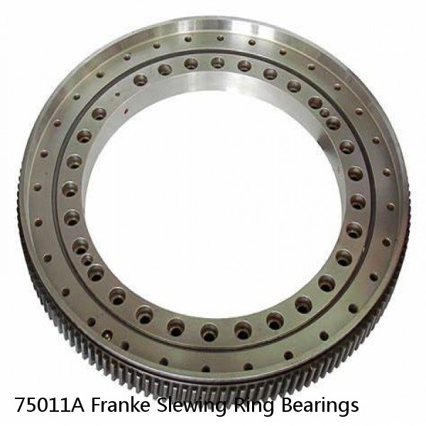 75011A Franke Slewing Ring Bearings