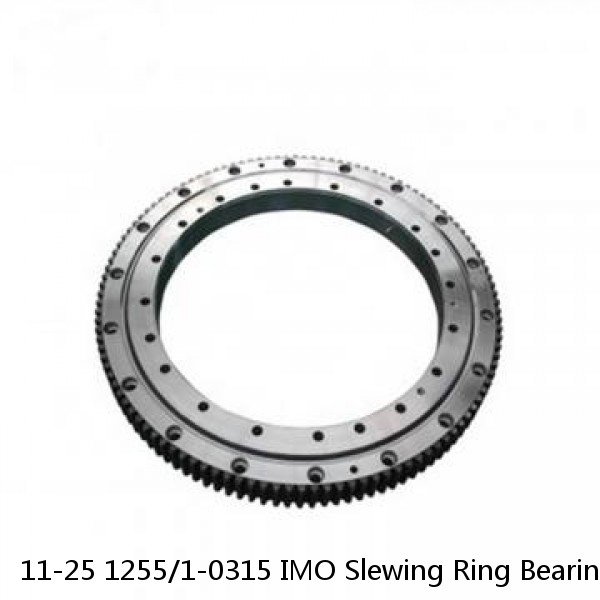 11-25 1255/1-0315 IMO Slewing Ring Bearings