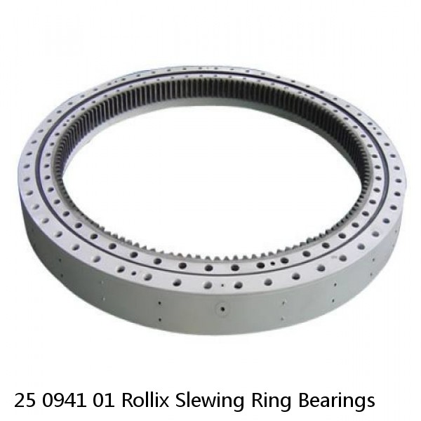 25 0941 01 Rollix Slewing Ring Bearings