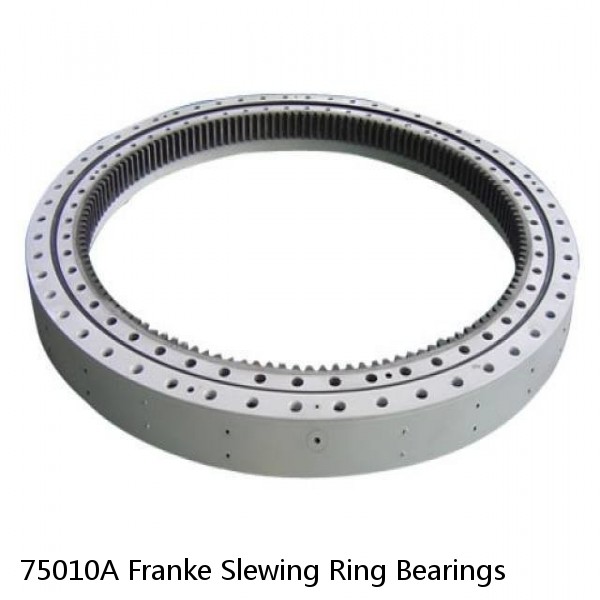 75010A Franke Slewing Ring Bearings