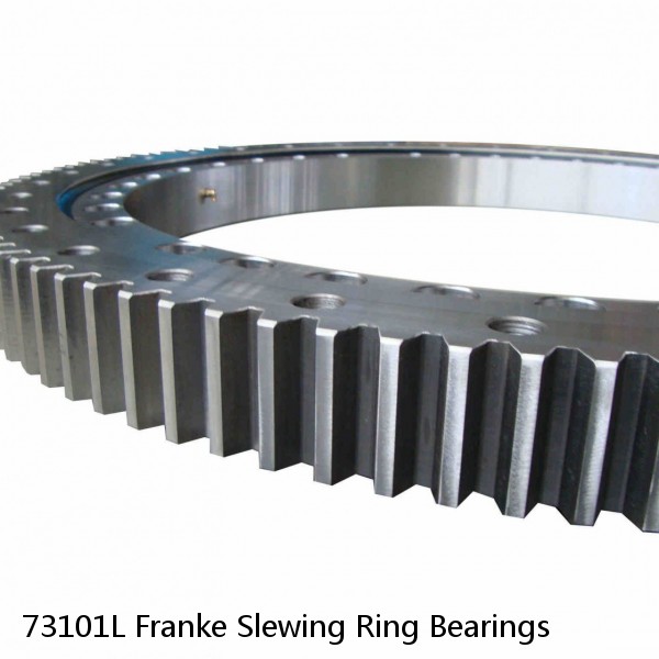 73101L Franke Slewing Ring Bearings