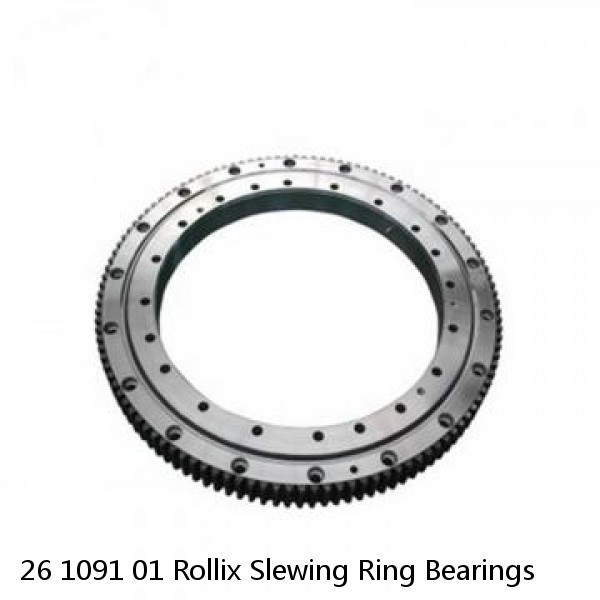 26 1091 01 Rollix Slewing Ring Bearings