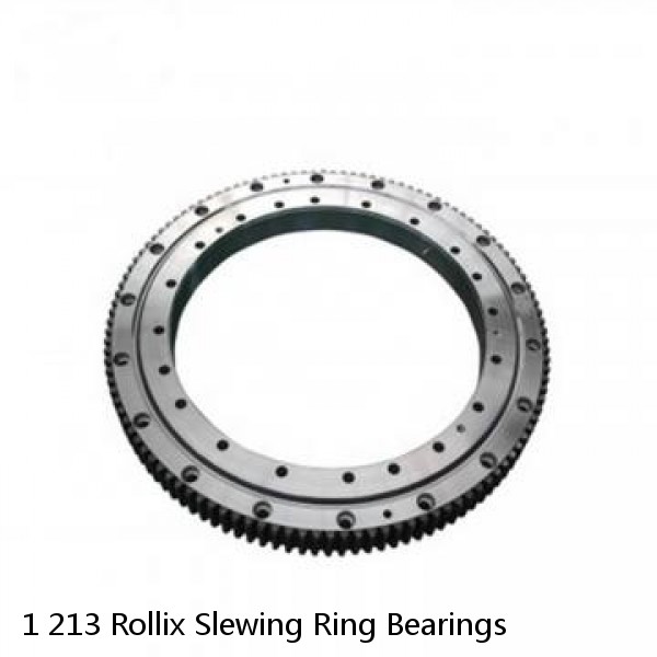 1 213 Rollix Slewing Ring Bearings