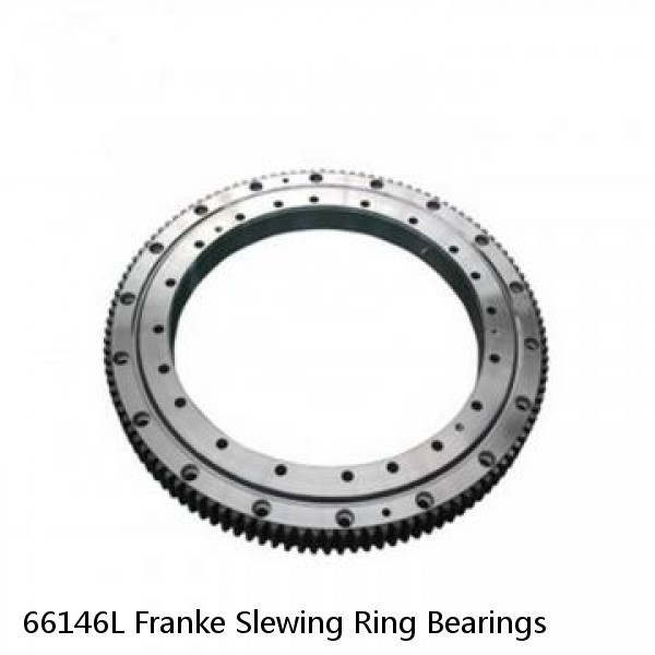 66146L Franke Slewing Ring Bearings