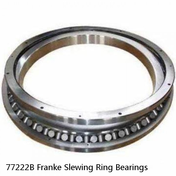 77222B Franke Slewing Ring Bearings