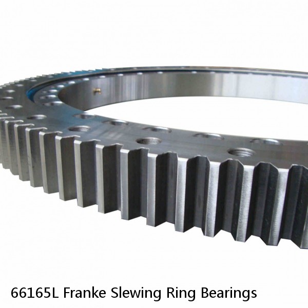 66165L Franke Slewing Ring Bearings