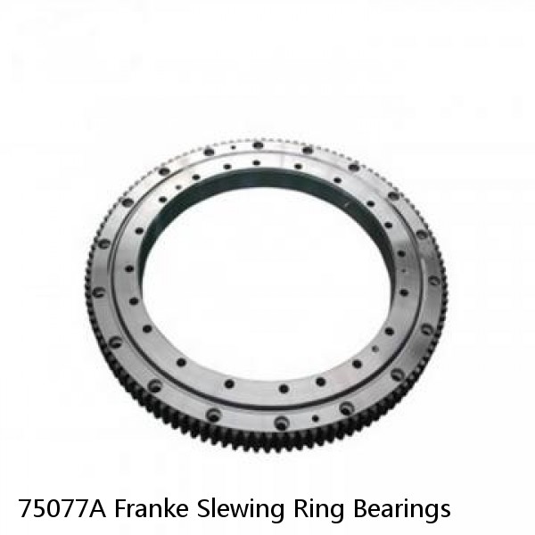 75077A Franke Slewing Ring Bearings