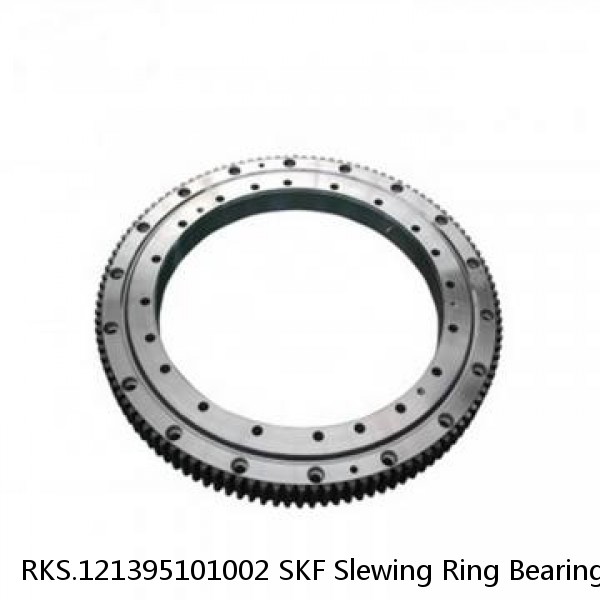 RKS.121395101002 SKF Slewing Ring Bearings