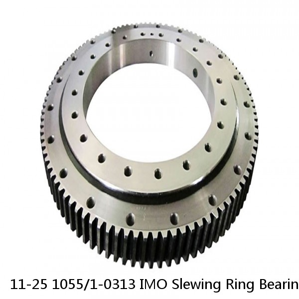 11-25 1055/1-0313 IMO Slewing Ring Bearings