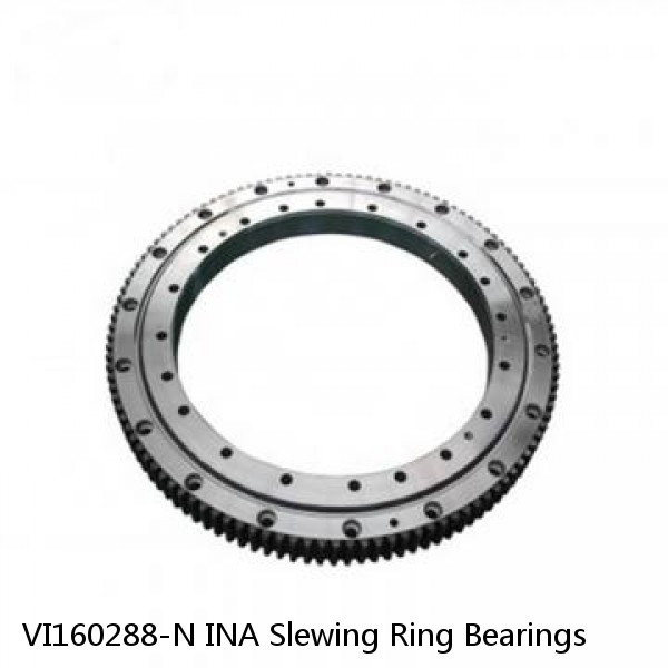 VI160288-N INA Slewing Ring Bearings