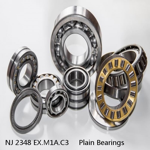 NJ 2348 EX.M1A.C3     Plain Bearings