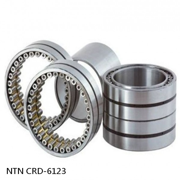 CRD-6123 NTN Cylindrical Roller Bearing