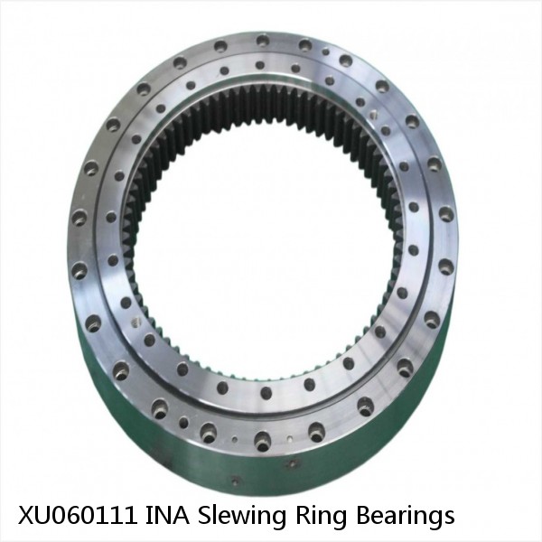 XU060111 INA Slewing Ring Bearings