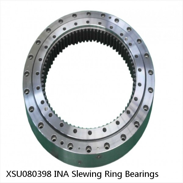 XSU080398 INA Slewing Ring Bearings