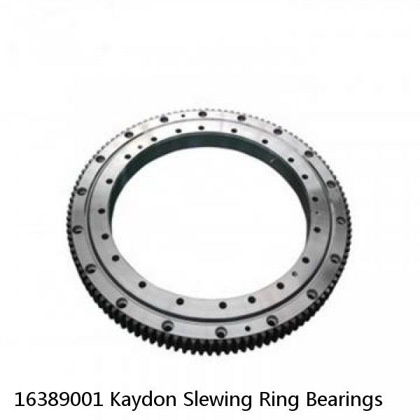 16389001 Kaydon Slewing Ring Bearings