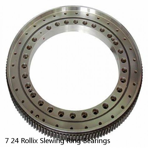 7 24 Rollix Slewing Ring Bearings