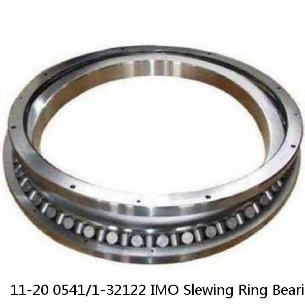 11-20 0541/1-32122 IMO Slewing Ring Bearings