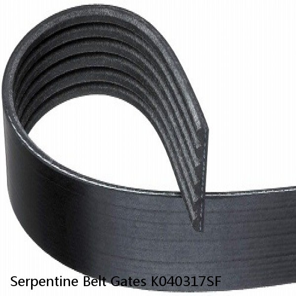 Serpentine Belt Gates K040317SF
