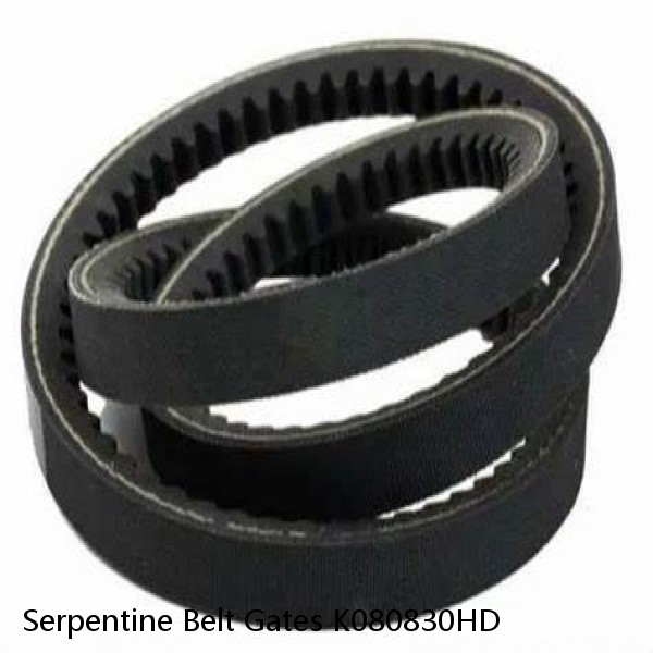 Serpentine Belt Gates K080830HD